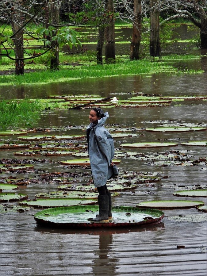 Amazonas (79)